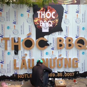 CONG TRINH HOANG CAU1